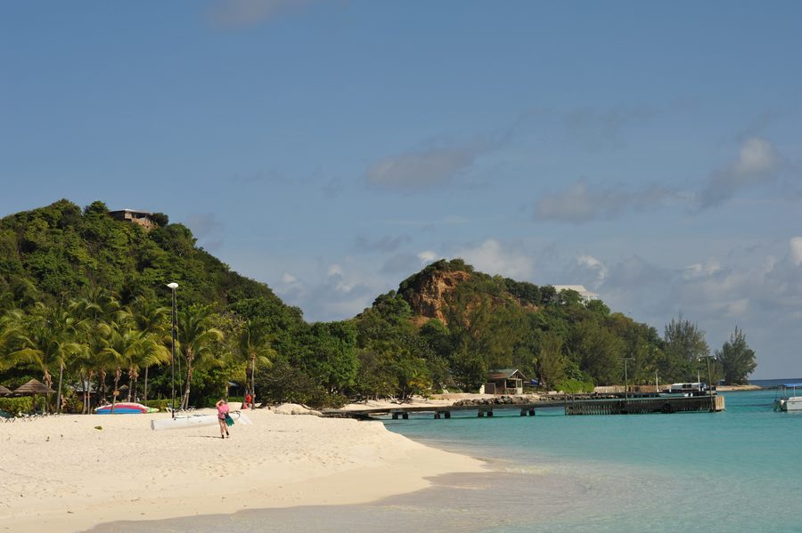 Palmen und heller Sandstrand auf Palm Island in den Grenadinen