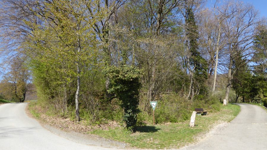 Streuobstwiesen am Vogelschutzgehölz Benedikten bei Dettingen an der Erms