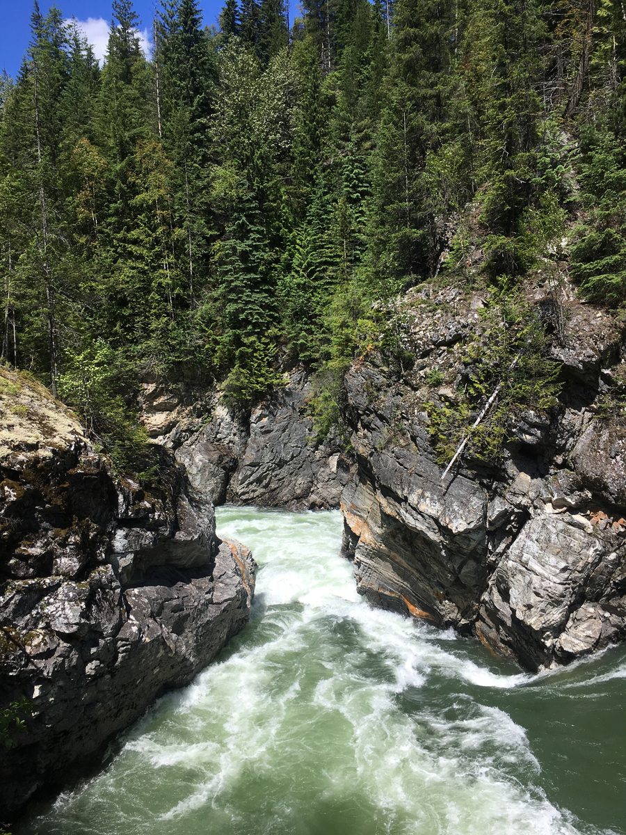Rapide del North Thompson River a nord di Avola nella Columbia Britannica