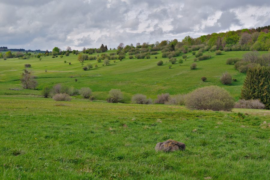 Paesaggio di prati nella riserva naturale della Lunga Rhön