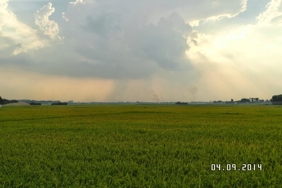Bửu Long in Biên Hòa, Đồng Nai, Vietnam
