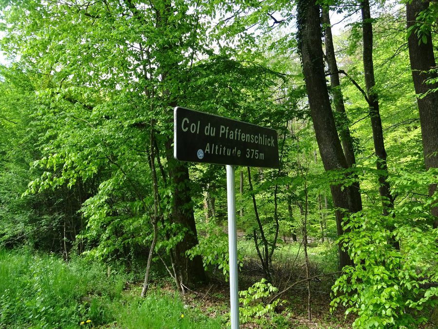Waldlandschaft am Col du Pfaffenschlick in der Gemeinde Climbach im Bas-Rhin
