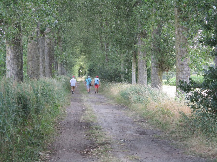 Waldweg im Het Leen bei Eeklo.
