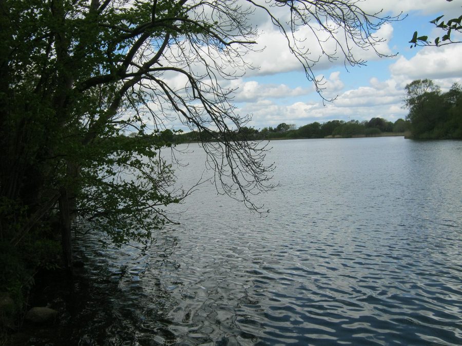 Blick vom Dorf auf den Schülldorfer See