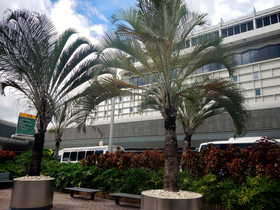 Esterno del terminal del Miami International Airport