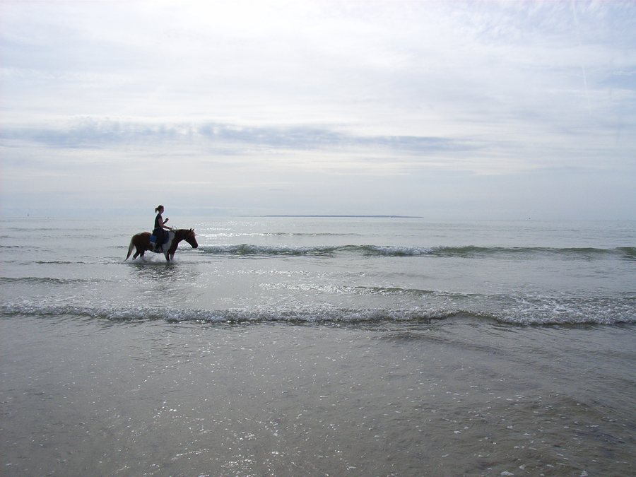 File:Plage de Saint Rémy des Landes - Vue sur Jersey.jpg
