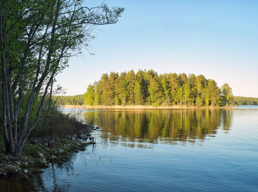 Vista verso Svartholmen nella riserva naturale di Bergs Klätt