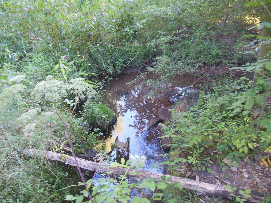 File:Ruisseau de Meisenthal 01.jpg