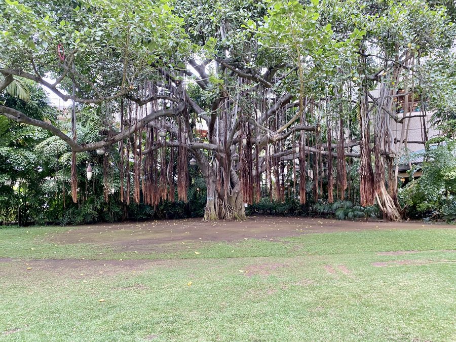 Kalākaua Avenue in Waikīkī with the Royal Hawaiian Hotel and a banyan tree.