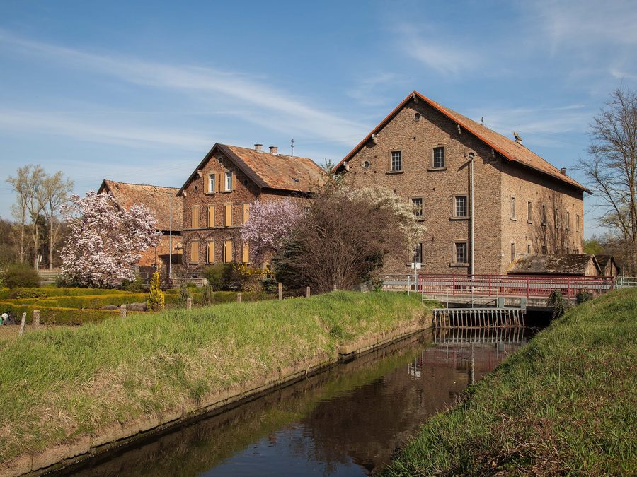 Fronmühle mit Speyerbach und Wehr in Haßloch