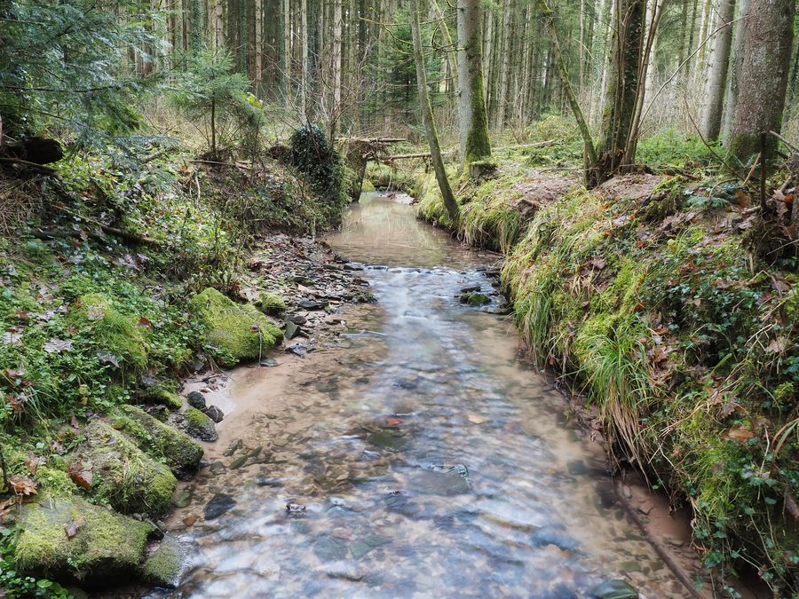 Der Spraitbach, ein Bach zwischen Leinhaus und Stutzenklinge, fließt durch eine bewaldete Landschaft.