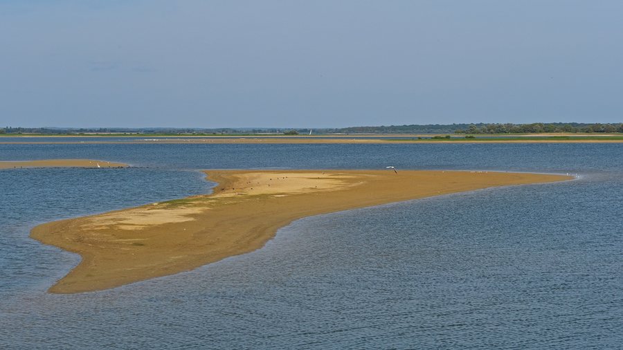 File:2018.09.10.-02-Giffaumont-Champaubert--Lac du Der Chantecoq.jpg