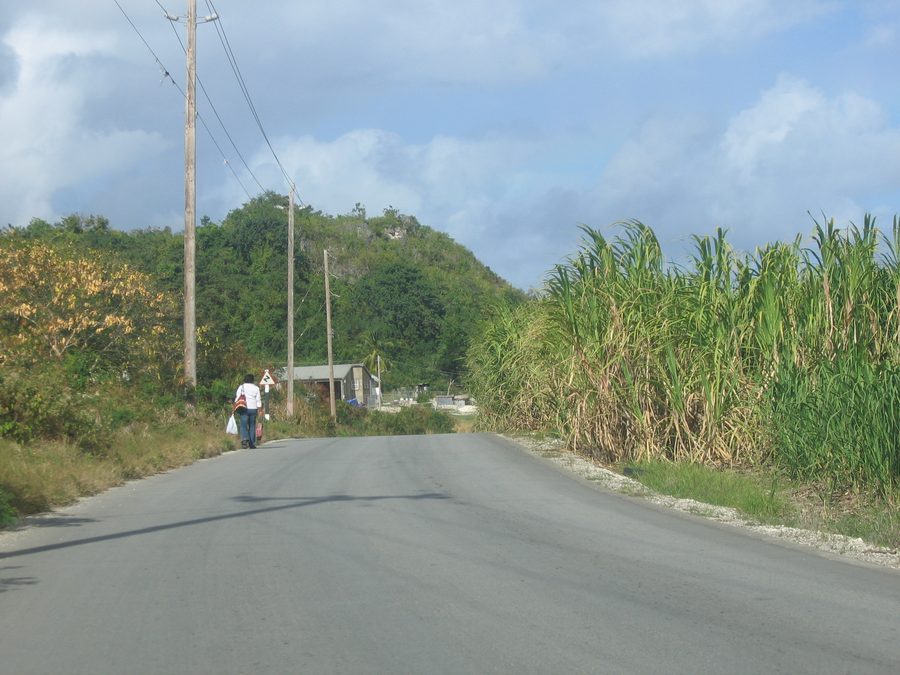 Fußgänger auf einer abgelegenen Straße entlang von Zuckerrohrfeldern in Saint Philip, Barbados
