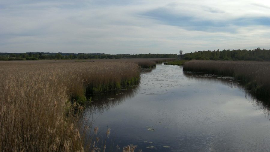 Canale nella riserva naturale del Federsee presso Bad Buchau