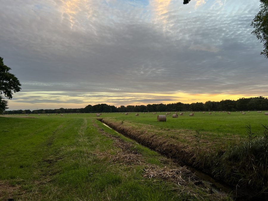 Abendhimmel über einem Feld im Löwenberger Land nahe dem Naturschutzgebiet Liebenberger Bruch