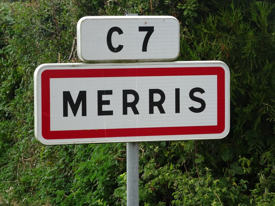 File:Merris 2020 (13).JPG