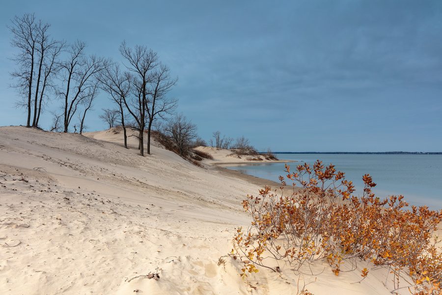 Vista di Sandbanks in autunno, con dune e vegetazione prima della neve.