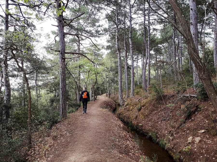 File:Canal-Bohère--Los-Masos.jpg