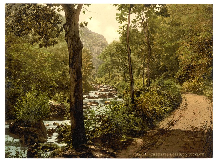 The Devil's Glen nella contea di Wicklow, Irlanda