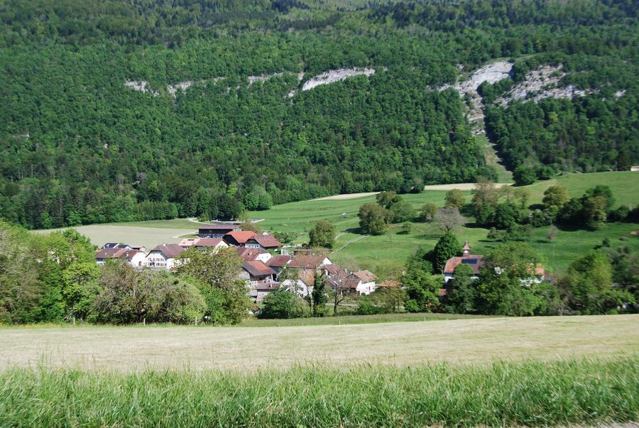 Ansicht von Vugelles-La Mothe im Kanton Waadt