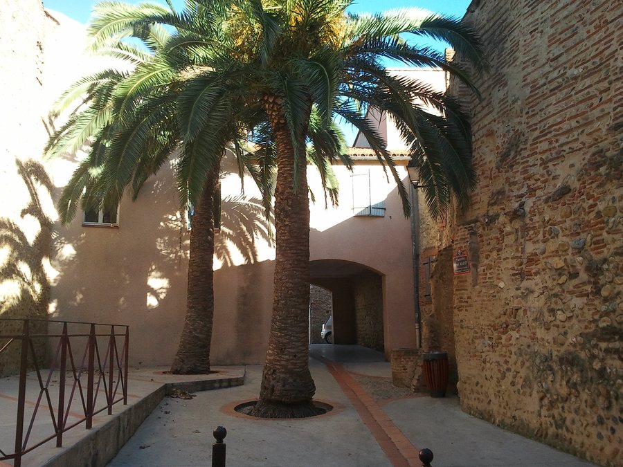 File:Canet en-Roussillon - Placette René Marty.jpg