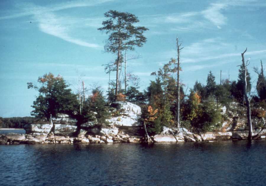 Laurel River Lake nel Kentucky con paesaggio costiero boscoso