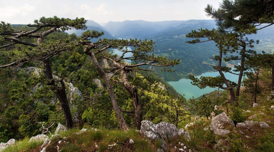 Blick vom Aussichtspunkt Banjska Stena über die Landschaft des Tara-Nationalparks