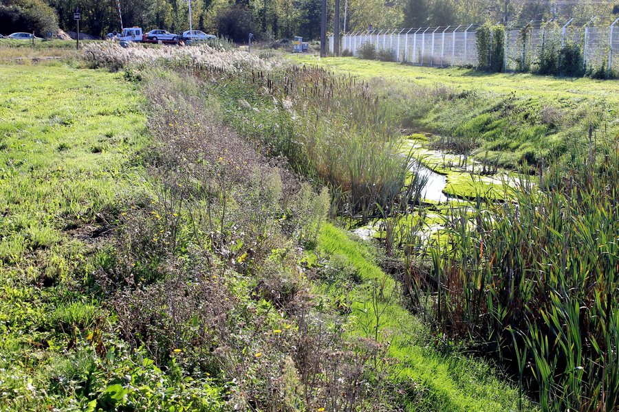 File:Blainville-sur-Orne le Dan.JPG