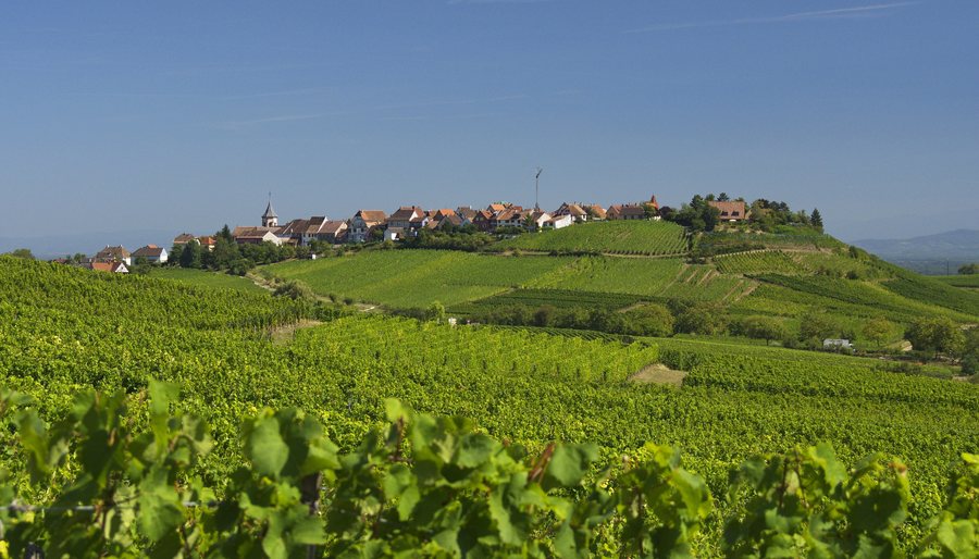 File:Zellenberg-3532.jpg