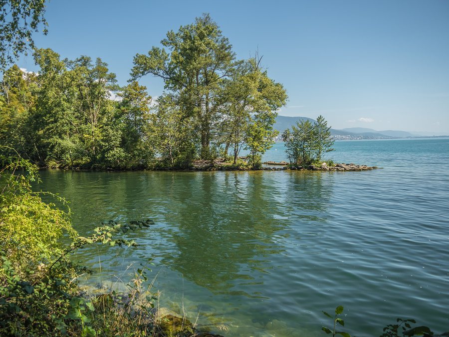 File:Areuse Mündung in den Neuenburgersee, Areuse NE – Cortaillod NE 20220823-jag9889.jpg