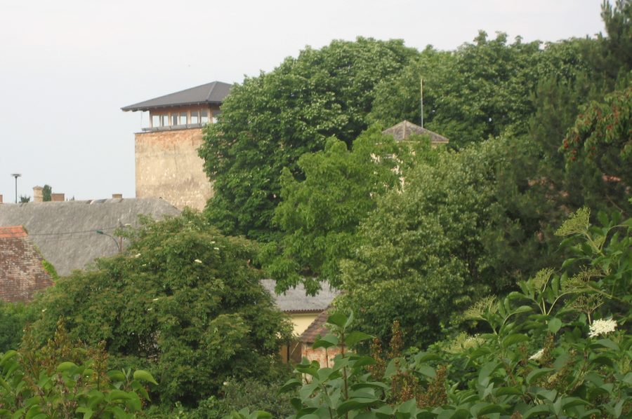 Wehrturm in Palterndorf in Niederösterreich