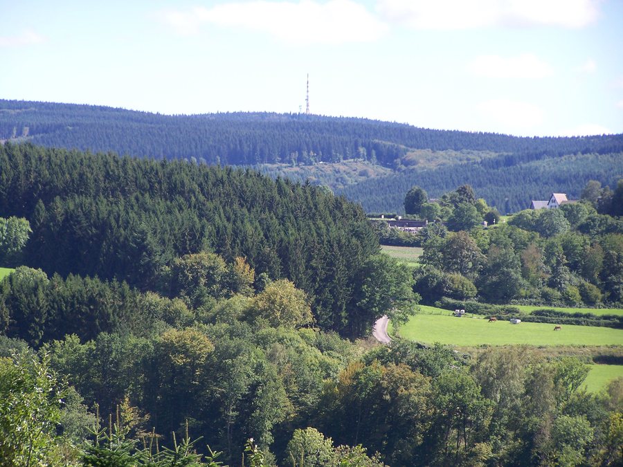 File:Haut Folin - Vue depuis le théâtre gallo-romain des Bardiaux (Arleuf).jpg