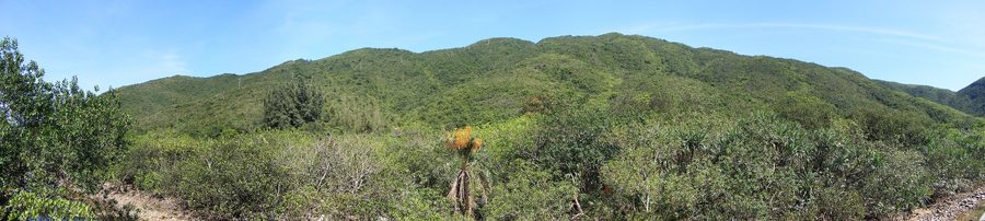 Panoramablick auf die Küstenlandschaft von Sai Kung in Hongkong