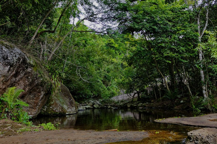 Poço Natural circondato da alberi lungo il sentiero della Água Branca, Ilhabela