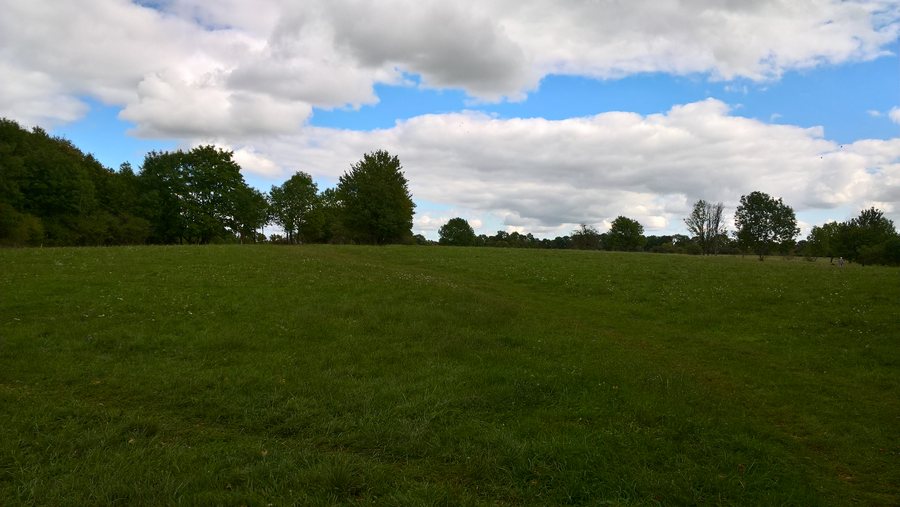 File:Essey-lès-Nancy, Butte Sainte-Geneviève, site archéologique.jpg