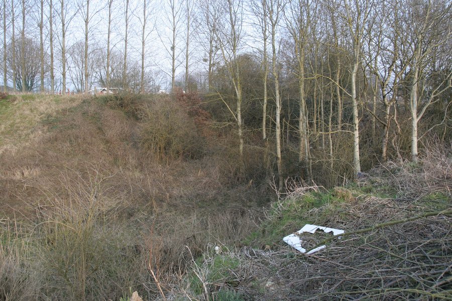 File:Saint-Romain-de-Colbosc - gisement préhistorique 02.JPG