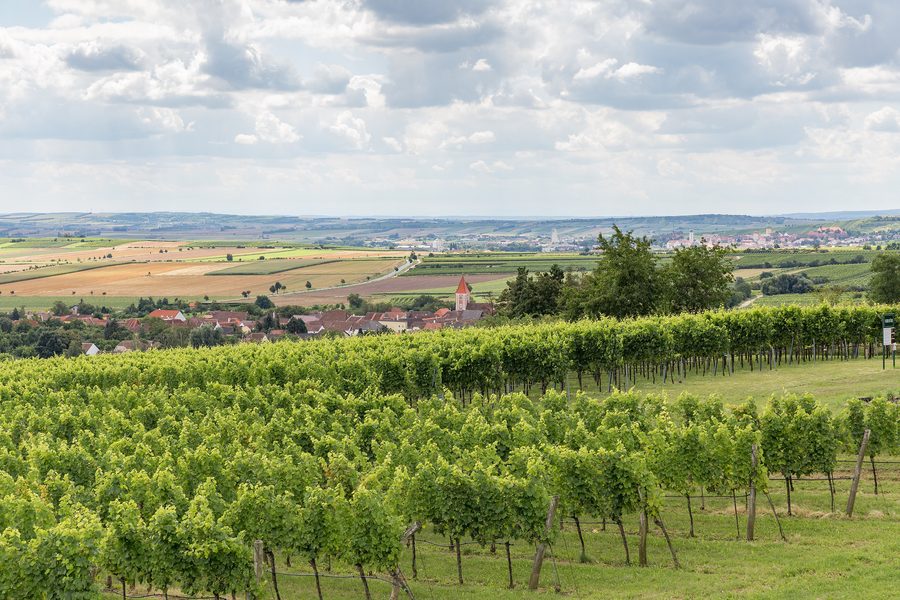 View across vineyards and rolling landscapes near Oberretzbach and Retz in the Weinviertel