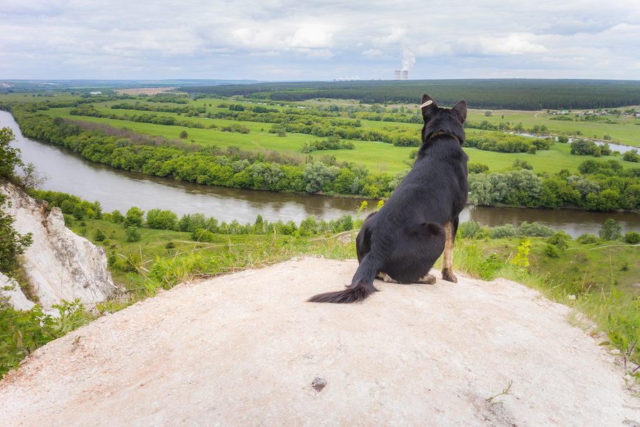 Vista sul Don da una piattaforma panoramica nell’oblast’ di Voronež