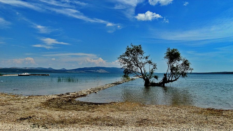 Landschaft im Naturpark Vransko Jezero mit See und Feuchtgebiet