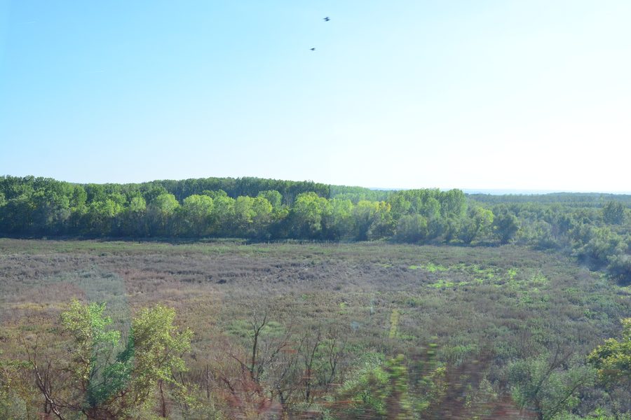 Weite Landschaft im Donaukorridor mit Blick auf den Landkreis Călărași