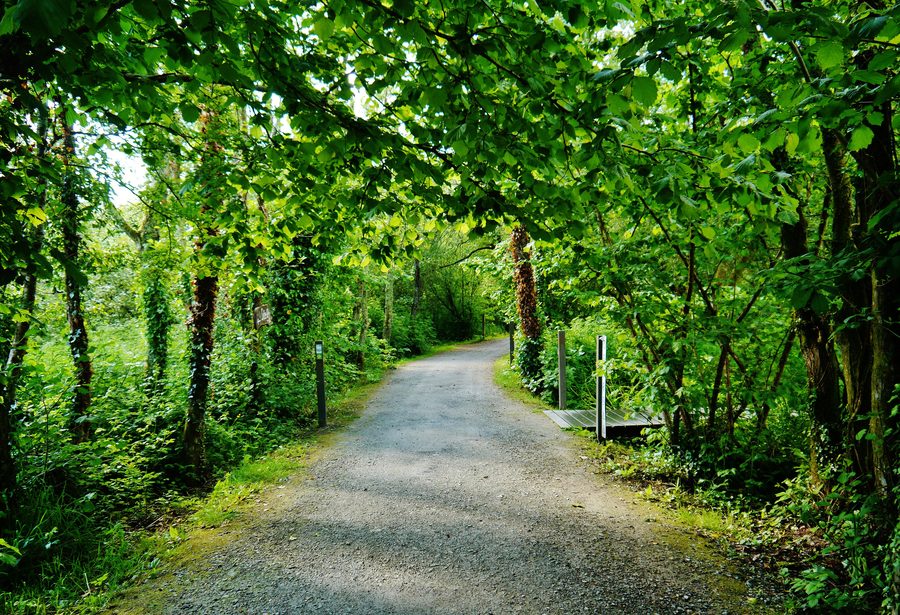 Rekonstruierte historische Anlage im Irish National Heritage Park bei Ferrycarrig