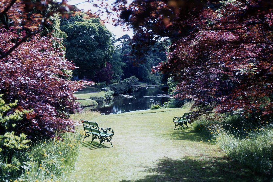 Paesaggio di giardino a Mount Usher Gardens nella contea di Wicklow
