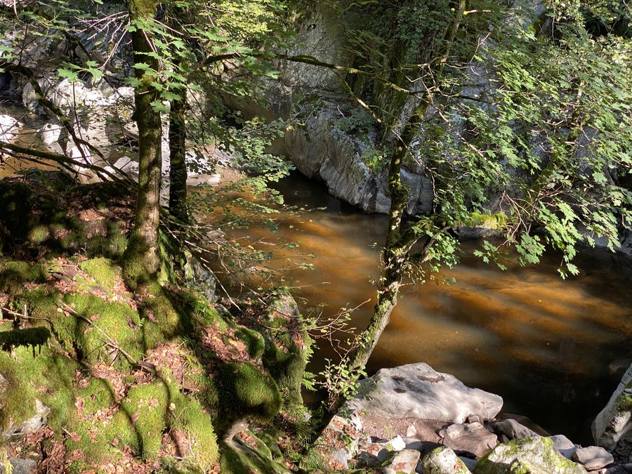 Landschaft bei Schachen im Landkreis Waldshut mit bewaldeten Höhen und offenen Wiesen