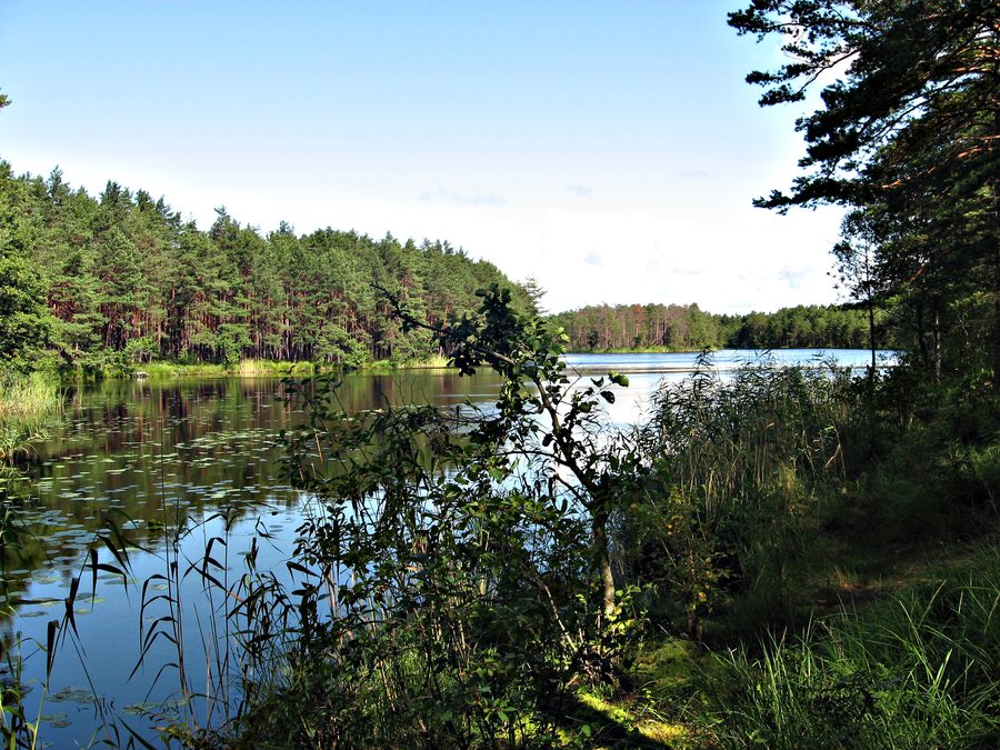 Lago Ziemeļu Garezers a Lilaste, Lettonia