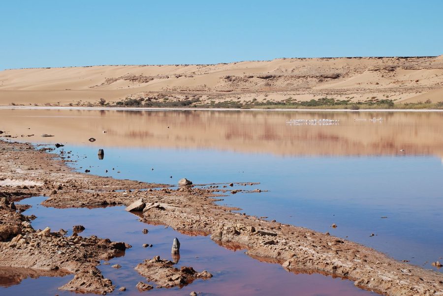 Valle secca della Saguia el-Hamra vicino a El Aaiún