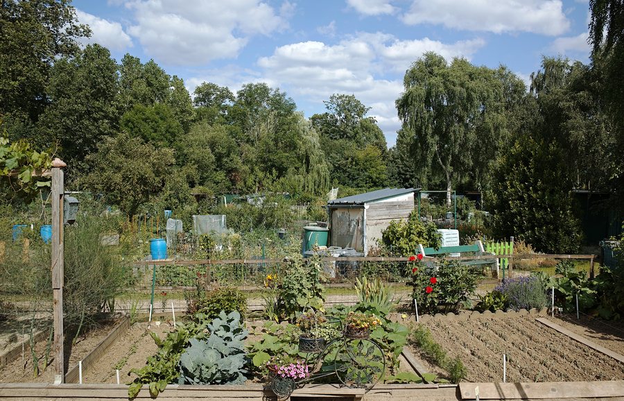 File:Lambersart jardins allee st clement.jpg