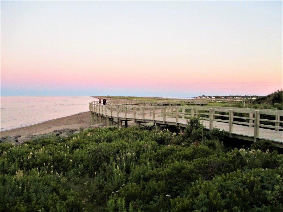 Boardwalk crossing the sand dunes at Irving Eco-Centre La Dune de Bouctouche, New Brunswick