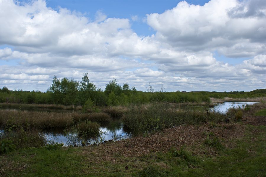 La brughiera di torba dal capanno di osservazione nella riserva naturale di Risley Moss