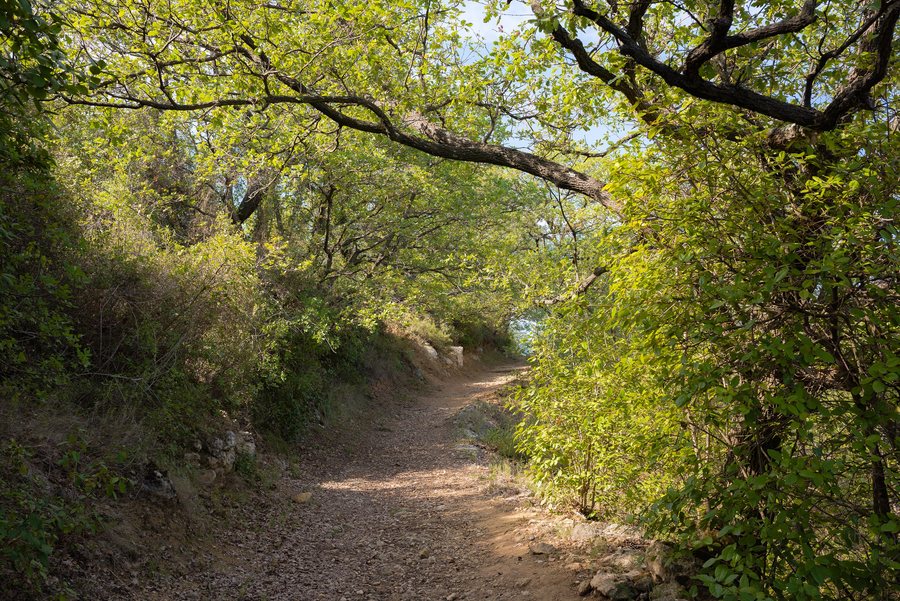 File:Trail in Murviel-lès-Béziers 01.jpg