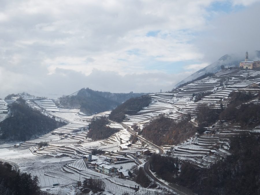 Winter view of the Cembra Valley with Faver visible in the upper right